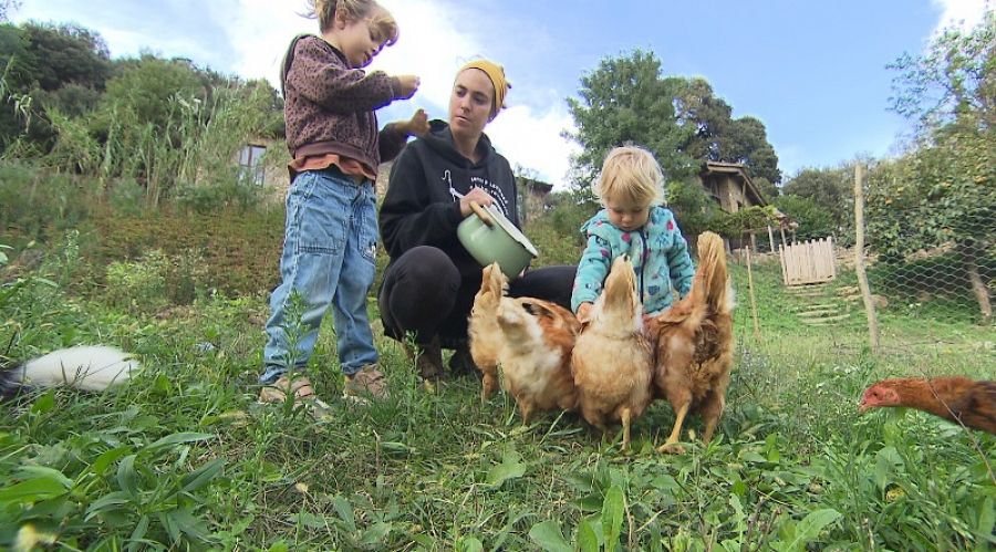 Clara Mongé con sus gallinas en Les Planes d'Hòstoles, Girona