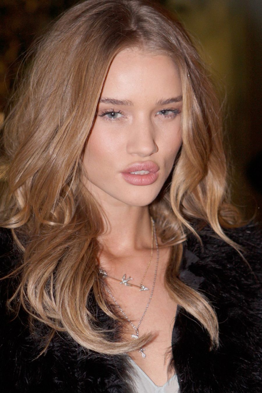 Rosie Huntington-Whiteley modelo actriz pareja hijos