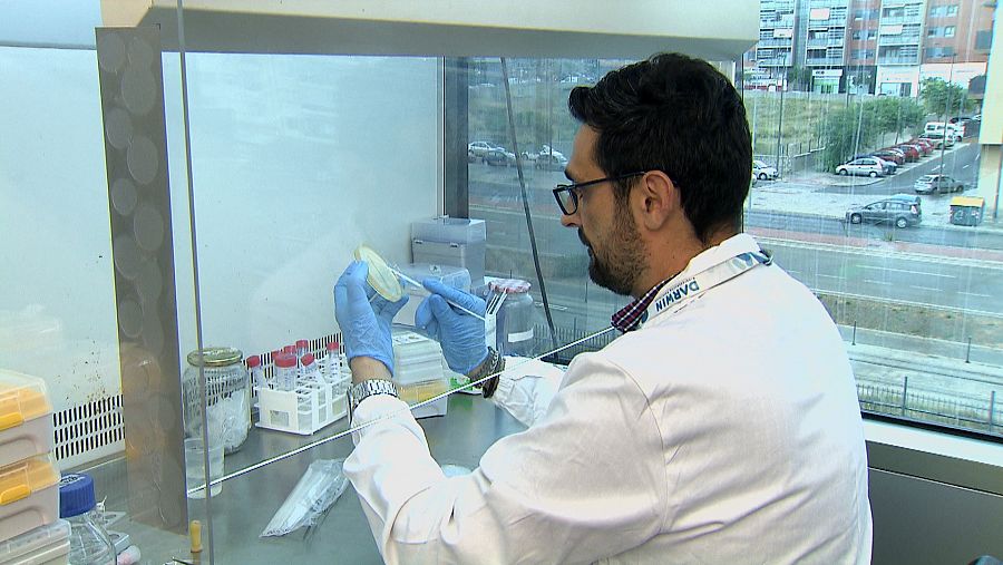 Investigadores biogás