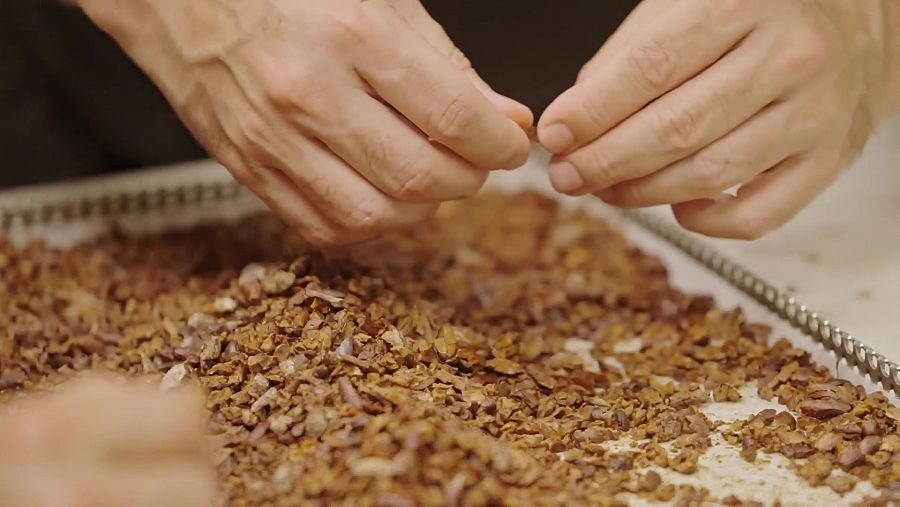 Fabricació de xocolata a Casa Cacao de Jordi Roca | La Recepta Perduda