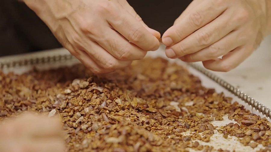 Fabricació de xocolata a Casa Cacao de Jordi Roca | La Recepta Perduda