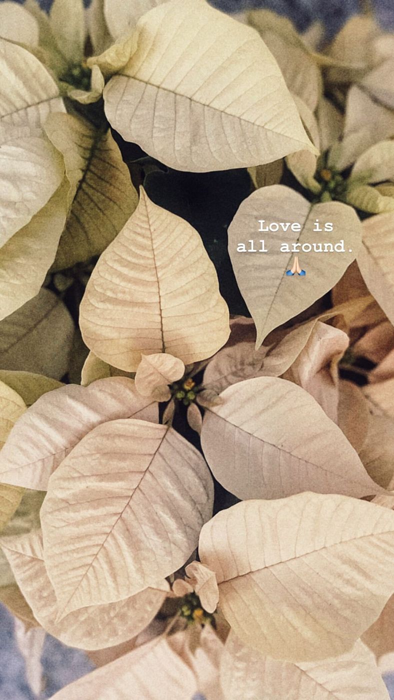 Sara Carbonero, acompañada en el hospital