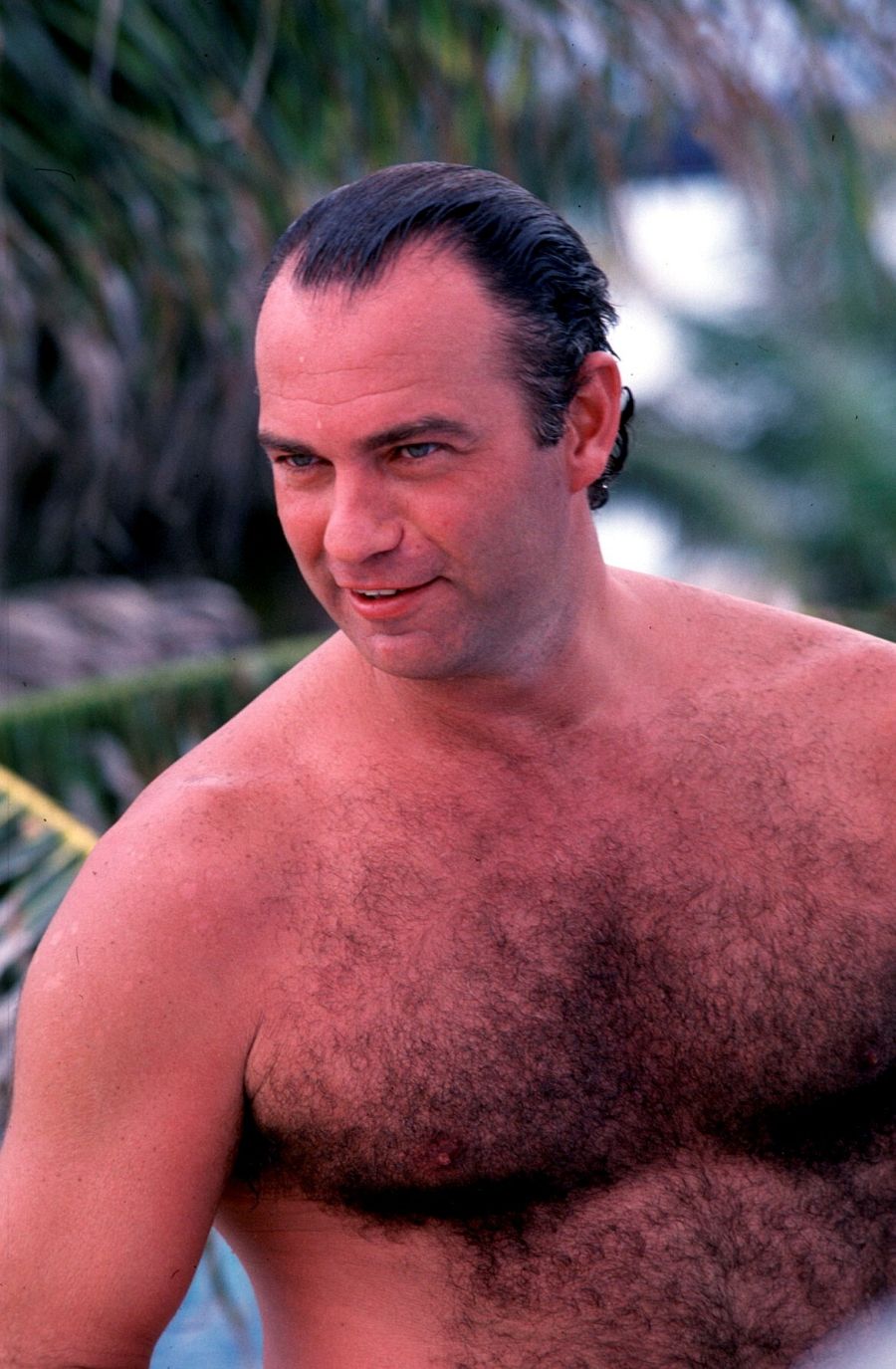 Bertín Osborne, sin camiseta en los 90