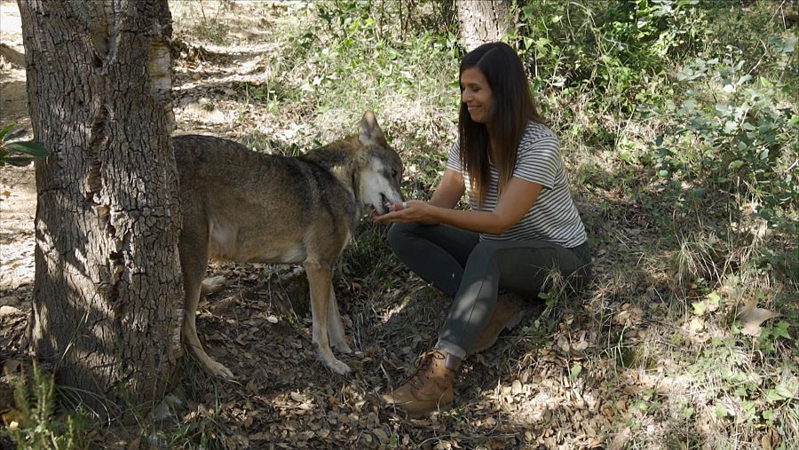 Evelyn Segura con Lupus, un lobo ibérico