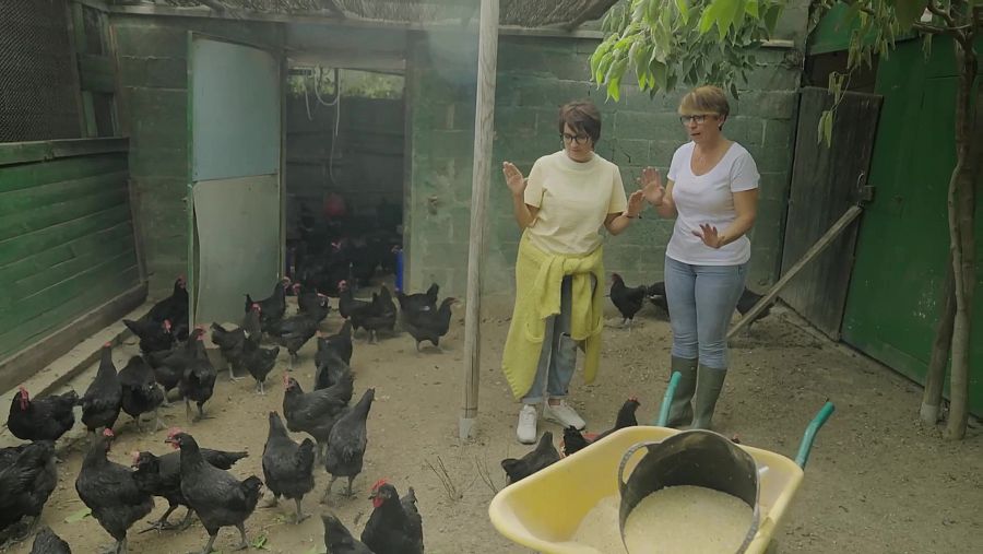 Sílvia i Elisabet a un corral de gall negre del Penedès | La Recepta Perduda