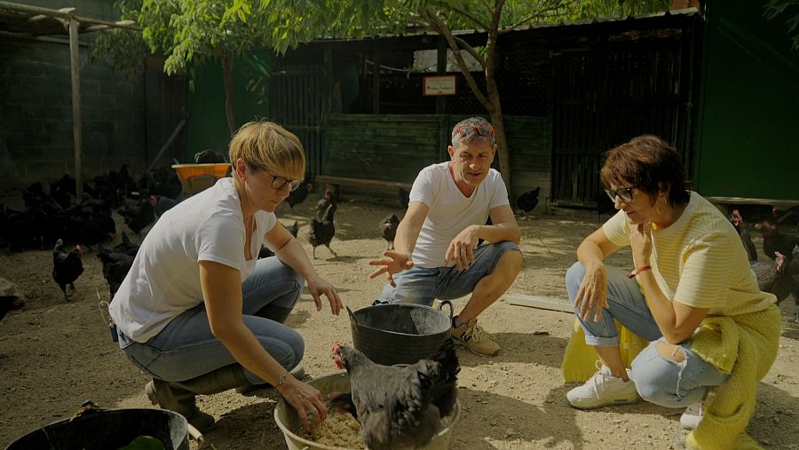 L'Elisabeth és un dels quatre criadors de gall del Penedès amb IGP