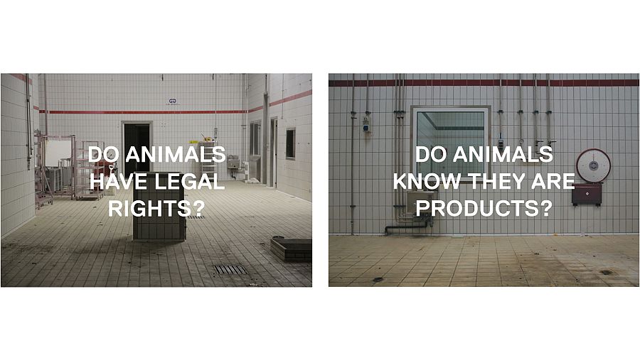 Do Animals...? (Igor Grubic, 2017)