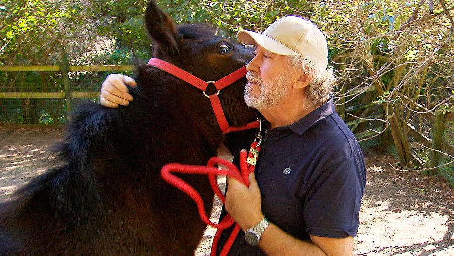 Asociación Gandeiros cabalos do  Monte da Groba
