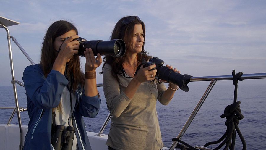 Evelyn Segura se embarca con la bióloga Mónica Pérez para avistar cetáceos