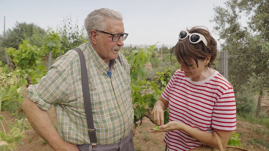 En Pep Salsetes recupera varietats de cultius locals