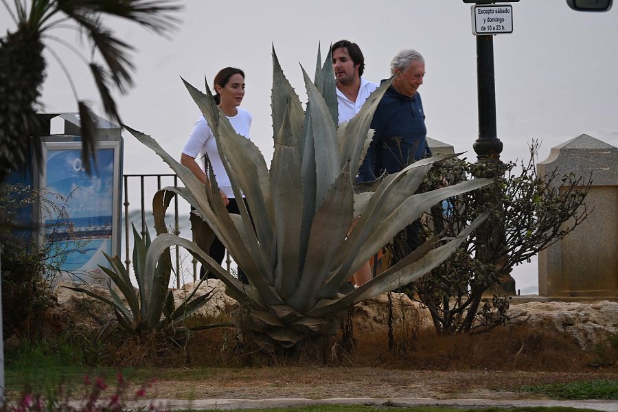 Tamara Falcó, Hugo Arévalo y Mario Vargas Llosa