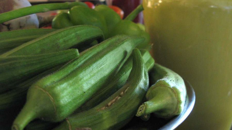 Okra: verde, peludo y brillante