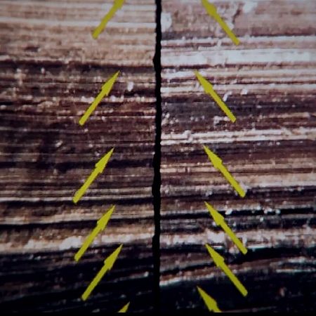 ¿Por qué la pistola fue clave en la investigación policial?