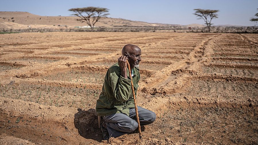  Ali Shira Omar es testigo de la desertificación provocada por la sequía y el cambio climático.  Ha pasado de ser nómada a agricultor para sobrevivir a los efectos del cambio climático. 