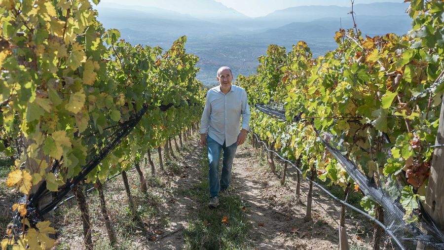 Raül Bobet viu envoltat de vinyes