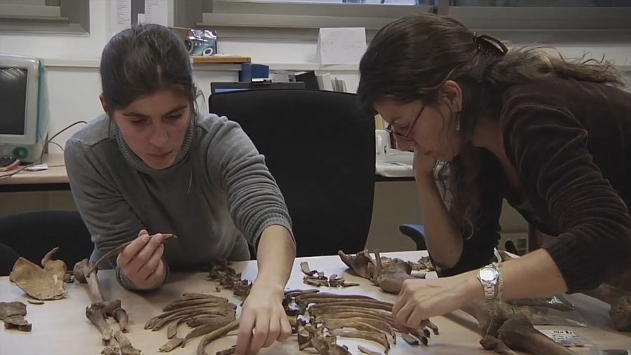 Estudio de los restos hallados en Menasalbas