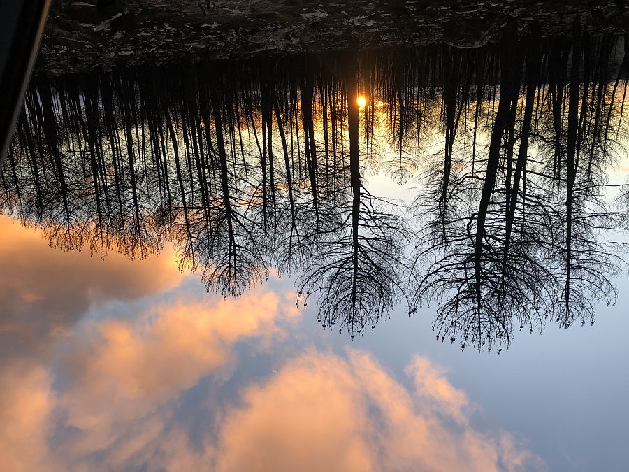 El incendio de Losacio calcinó 32.000 hectáreas de terreno