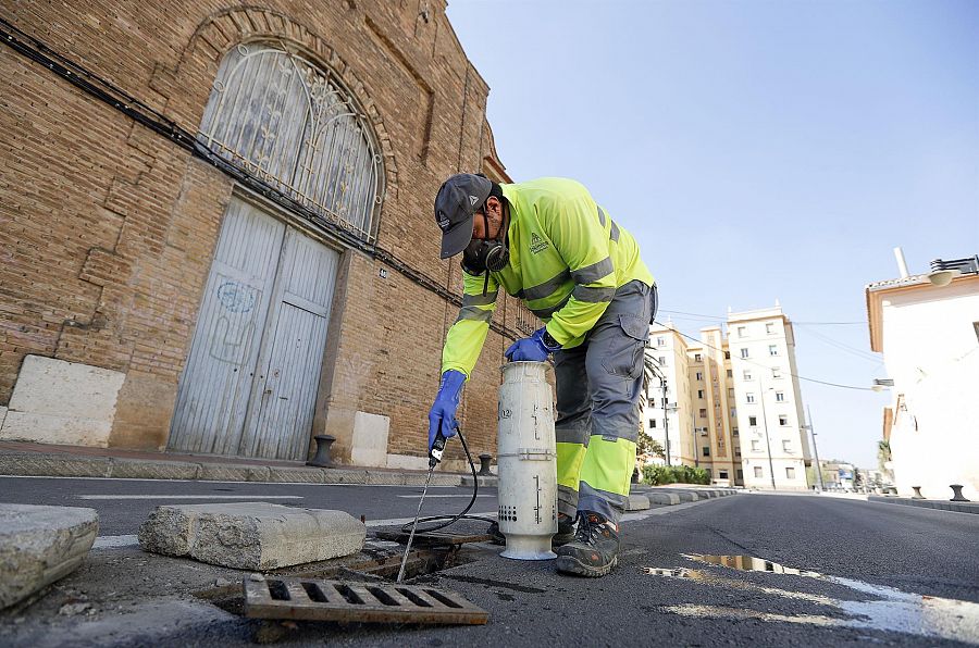 Campaña de control del mosquito tigre en Valencia