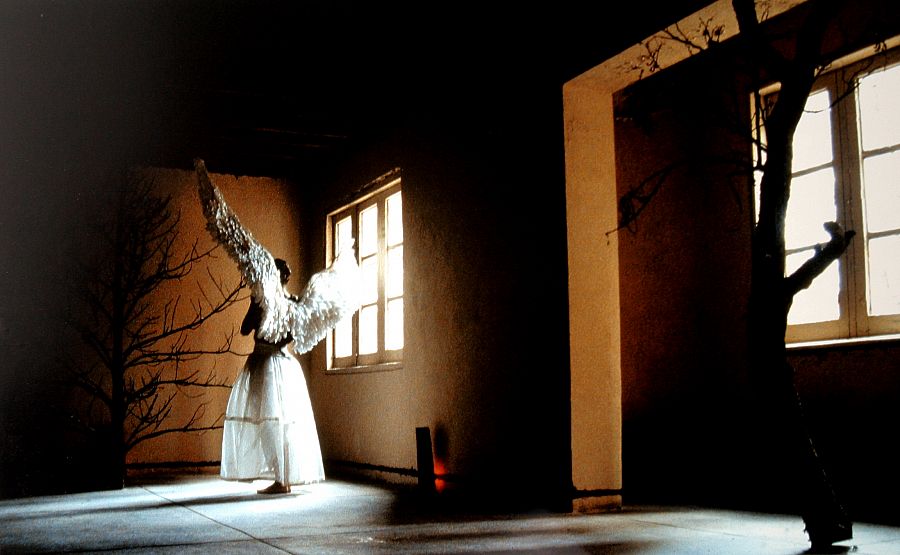 Dulce compañía (María Teresa Hincapié, 2000/2022, Galería Valenzuela Klenner, Bogotá)