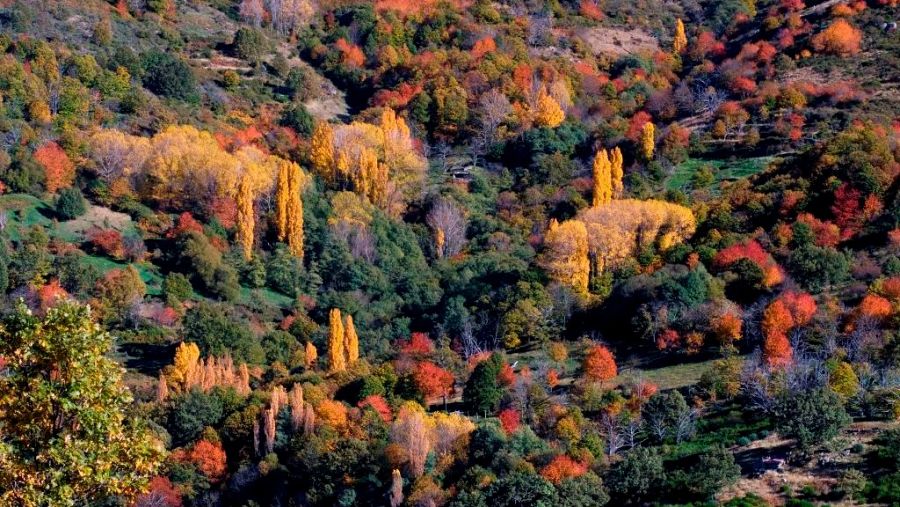 Valle del Ambroz, al norte de Extremadura