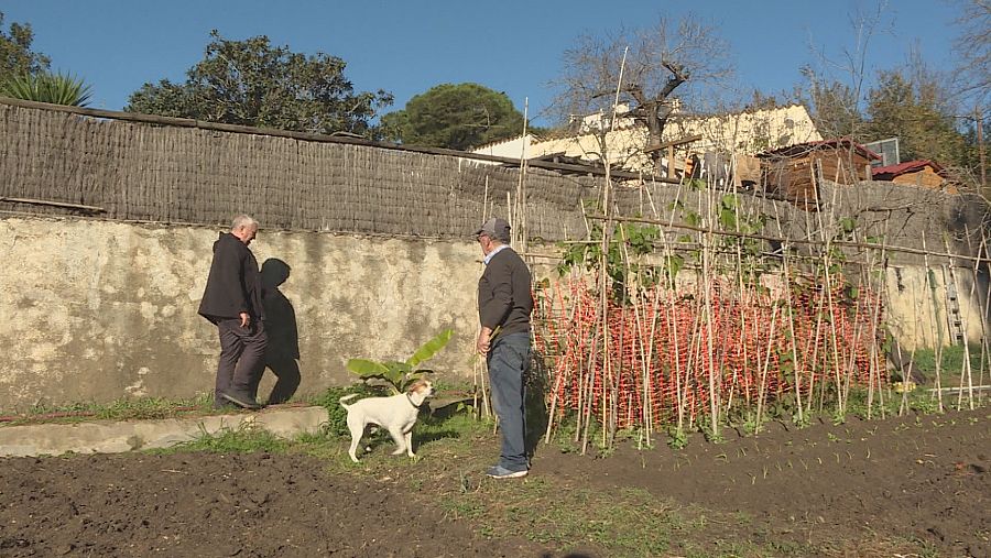 El huerto de Antonio es uno de los que aprovechan el agua que se pierde para regar