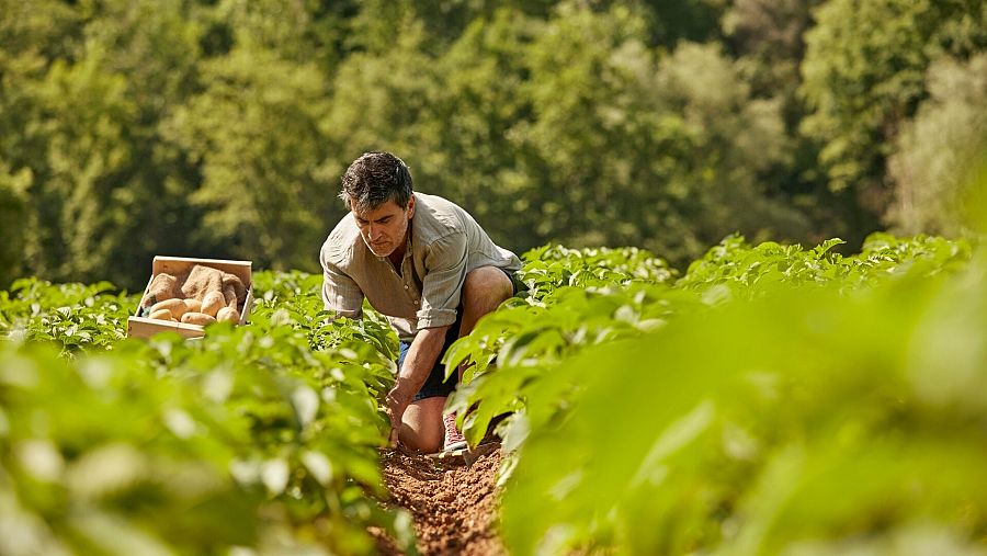 ¿Nos estamos medicando sin saberlo?