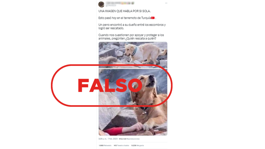 Mensaje que difunde la falsa idea de que estas fotografías están tomadas en Turquía con motivo del terremoto que sacude al país, con el sello 'falso' en rojo