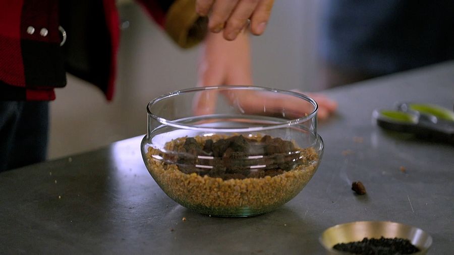 Afegir pedra decorativa i pedra volcànica amb un grapat de carbó actiu