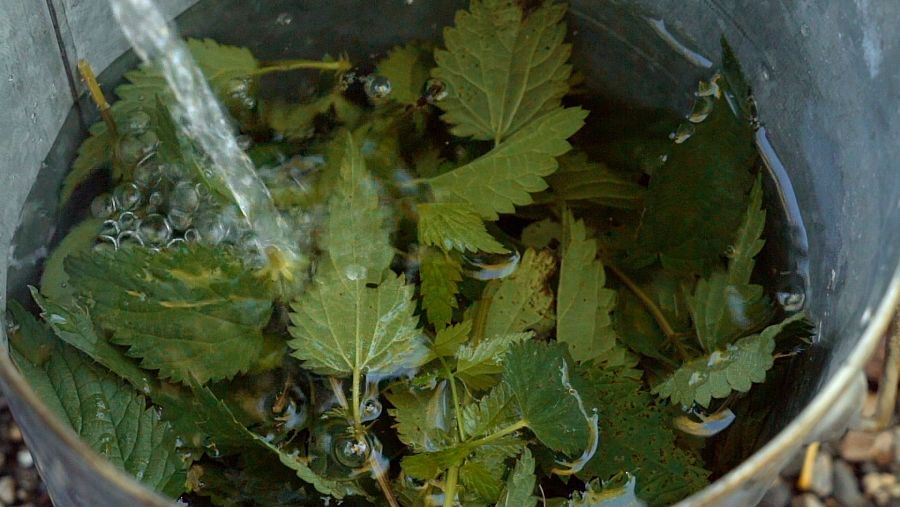 Gonzalo nos enseña a preparar la receta de 'Entrañas y ñoquis a la ortiga al gusto de la bruja'