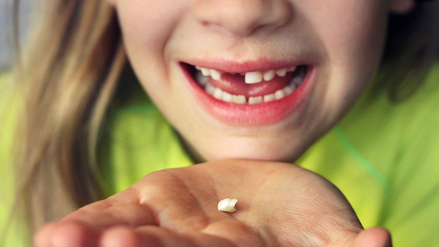 Una niña enseña en su mano el diente que se le acaba de caer