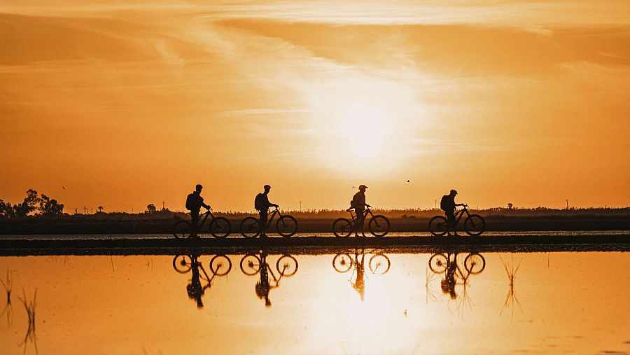 Quatre bicicletes amb una posta de sol darrere i el reflexe de l'aigua