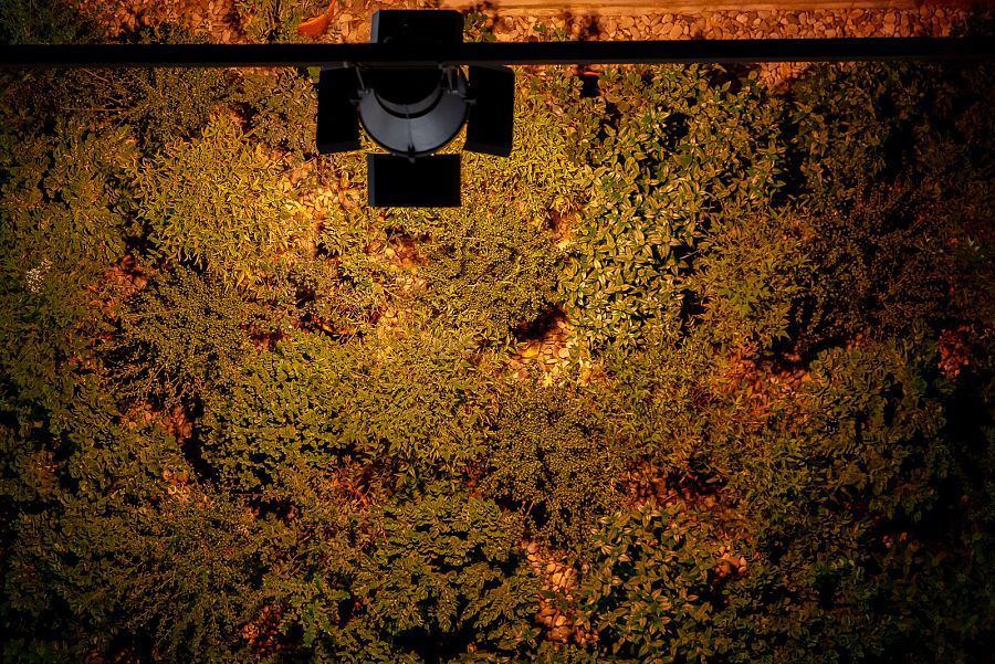 Àngels Ribé, Instalación ¿Pas Mal¿ (2021)