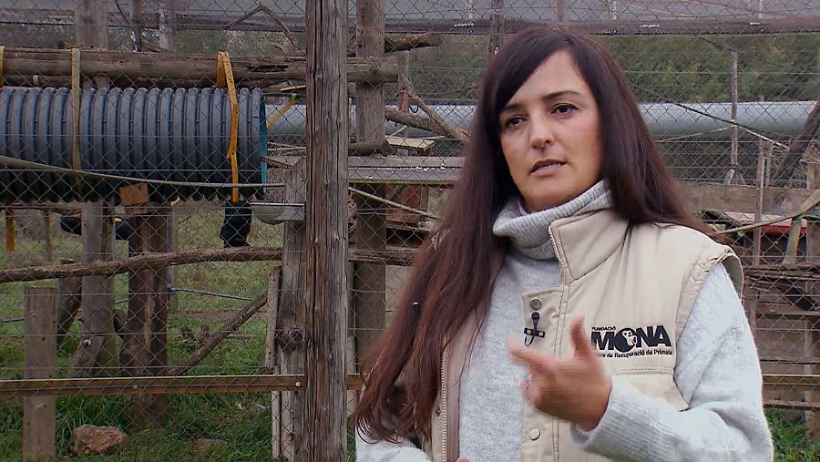 Cristina Valsera, bióloga y trabajadora de la Fundación Mona