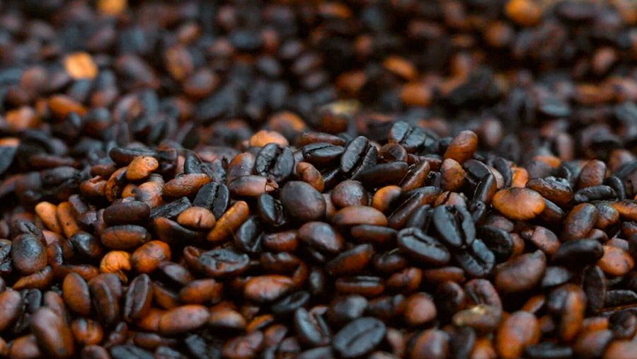 Grano de café tostado