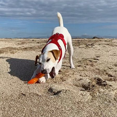 La Rubina, en Empuriabrava