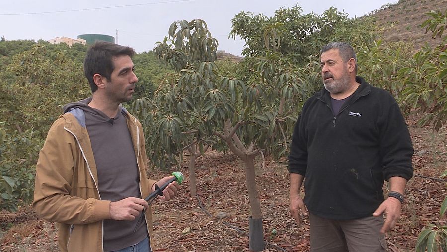 Ernesto Rico, gerente de DeepDrop, y Antonio Jiménez, usuario de este sistema de riego que ahorra más de la mitad del agua