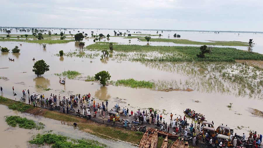 La gente camina por tierras de cultivo inundadas después de fuertes lluvias en Hadeja, Nigeria