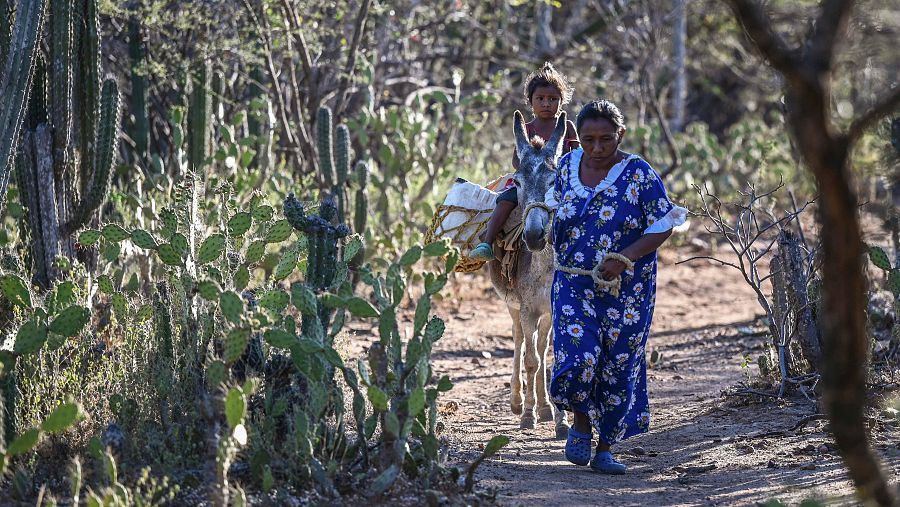 Indígenas de La Guajira (Colombia) caminan para conseguir agua. 21/02/2023