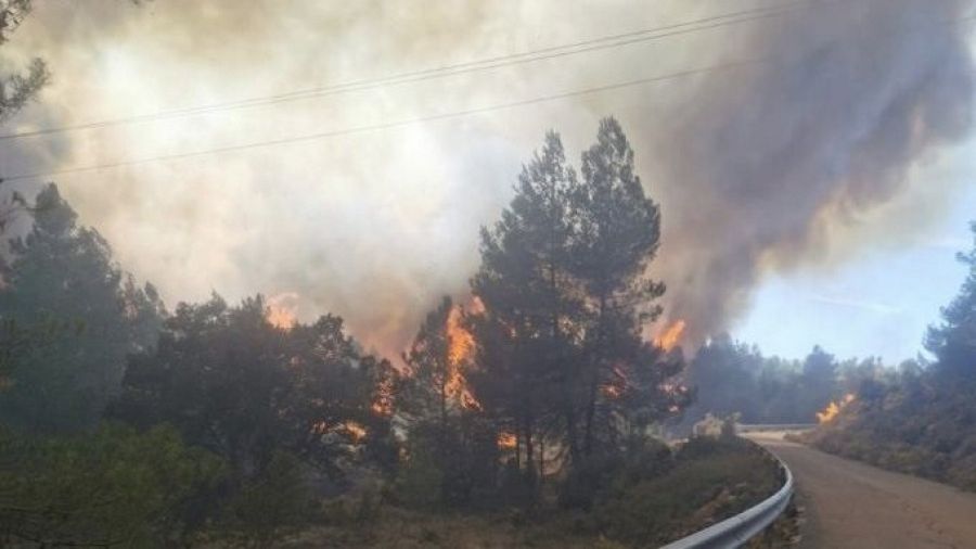 Incendio forestal en Villanueva de Viver