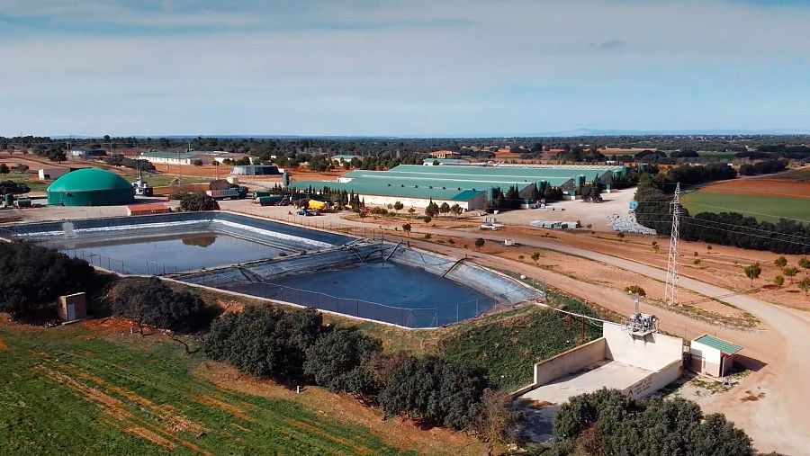 Planta de biogás y granja porcina en Balsa de Ves, Albacete