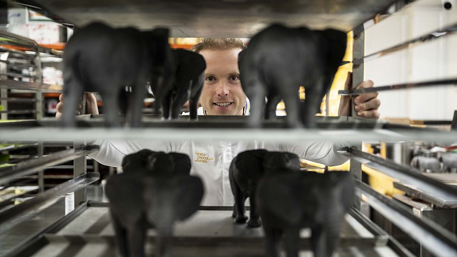 És un gran apassionat de la xocolata, la pastisseria i el ciclisme