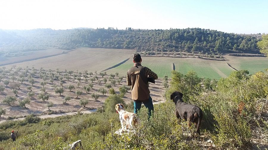 Sergio Sánchez es presidente de la Federación Catalana de Caza y sostiene que los perros con actividad cinegética son uno más de la familia