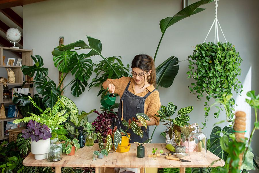 Clara Redondo (Plantitis Crónica)