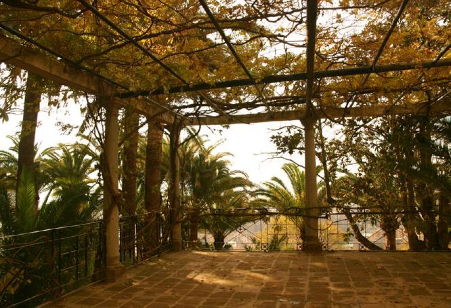 Las pérgolas naturales se encuentran en distintos puntos del recorrido del Carmen de los Mártires y permiten guarecerse del sol en verano