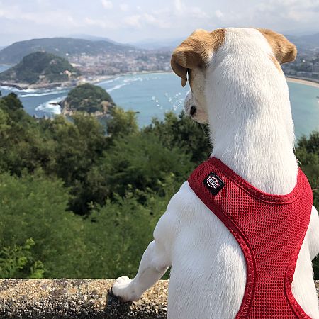 Pipper en el mirador del Monte Igueldo