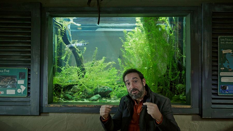 Pere Estupinyà con una rana titicaca en el Zoo de Chester