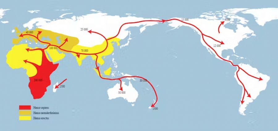 Mapa de la migración de Homo sapiens, Homo erectus y Homo neanderthalensis.
