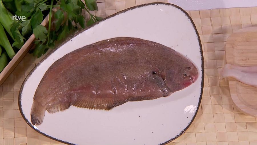 El lenguado: un pez plano lleno de ventajas