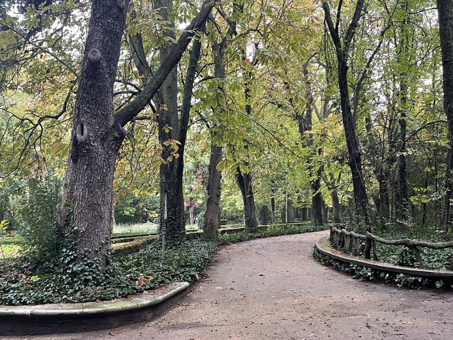 ¡Cuántas confidencias de amigos o enamorados habrán escuchado estos rincones de Campo Grande!
