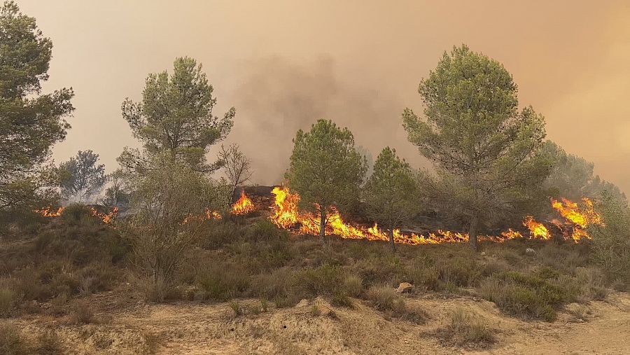 El foco de un incendio en la provincia de Zamora